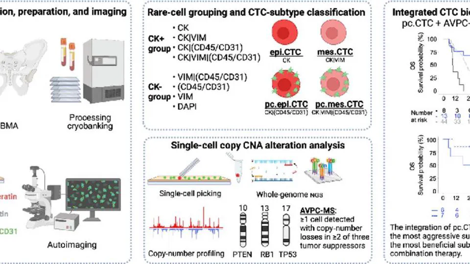 Platelet-Coated Circulating Tumor Cells Are a Predictive Biomarker in Patients with Metastatic Castrate-Resistant Prostate Cancer