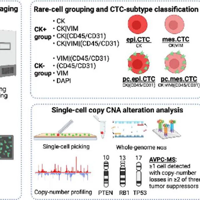 Platelet-Coated Circulating Tumor Cells Are a Predictive Biomarker in Patients with Metastatic Castrate-Resistant Prostate Cancer