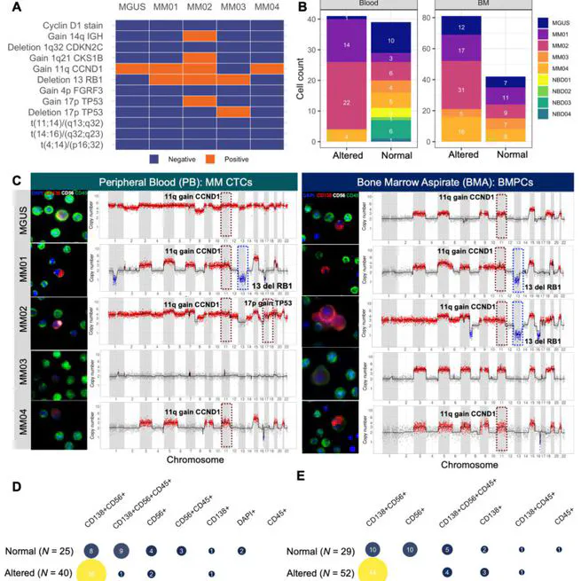 Enrichment-Free Single-Cell Detection and Morphogenomic Profiling of Myeloma Patient Samples to Delineate Circulating Rare Plasma Cell Clones