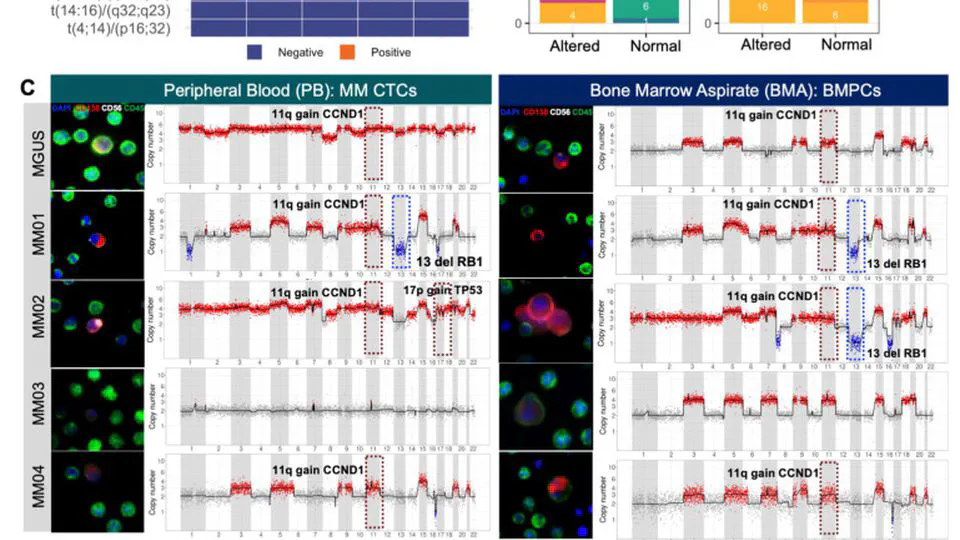 Enrichment-Free Single-Cell Detection and Morphogenomic Profiling of Myeloma Patient Samples to Delineate Circulating Rare Plasma Cell Clones